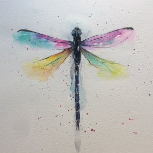 Free Dragonfly