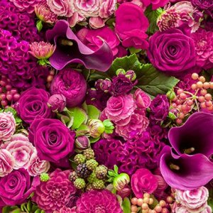 ������557