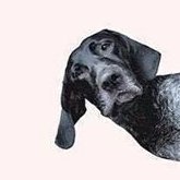 �-�� ��������