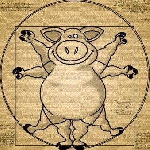 ���� ���� ���