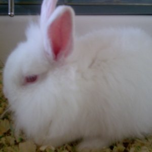 ������ �������� 611358