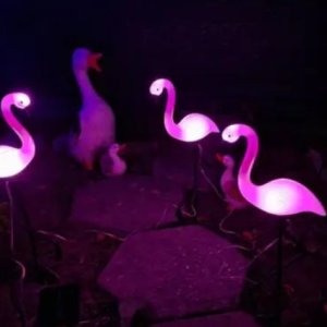 ����� ������ 622011