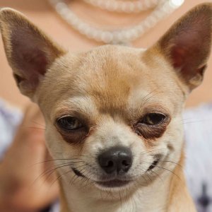 Milena Ivanova 636439