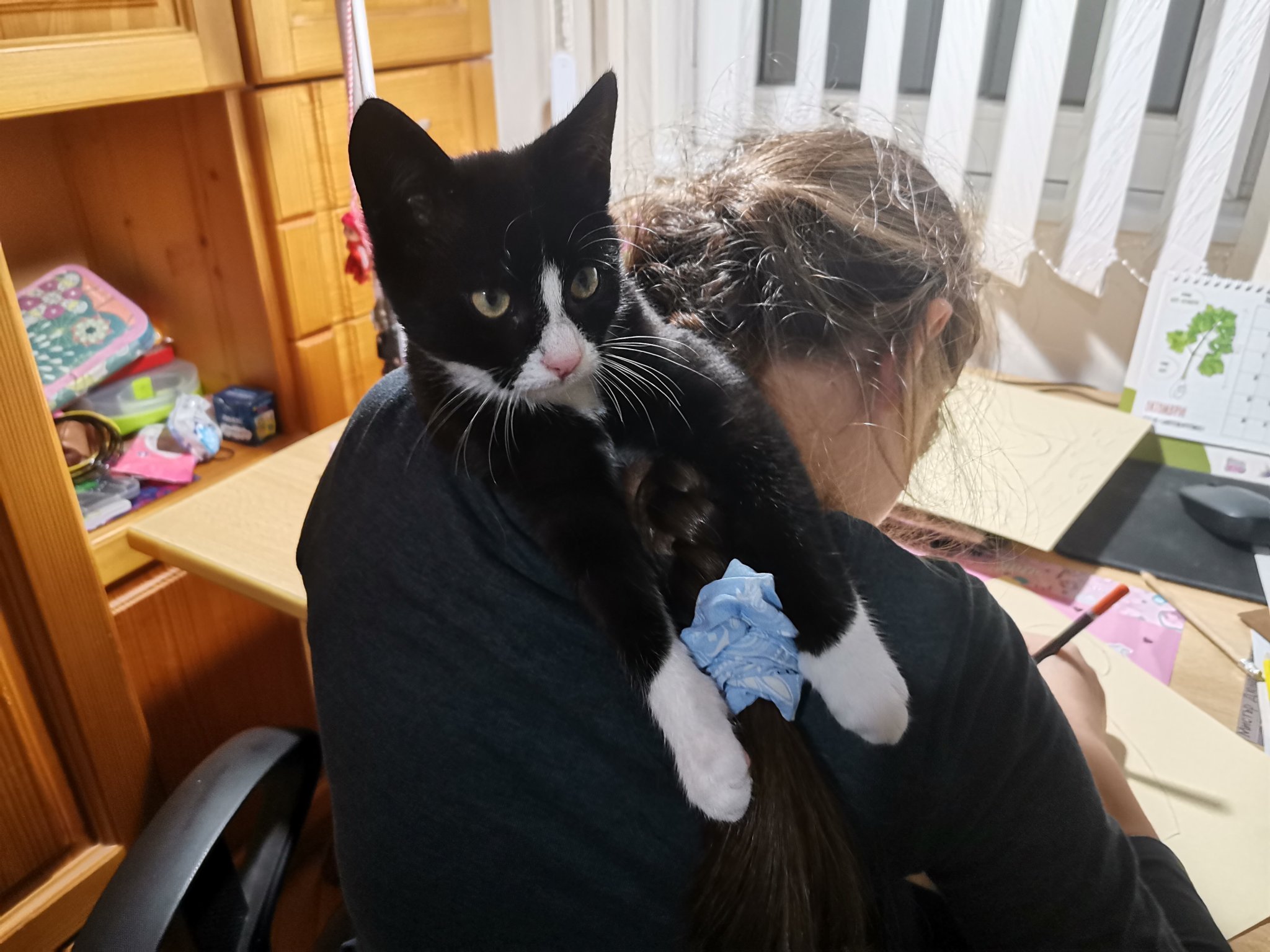 Най-хубава котка и най-хубаво куче на форума | Развлечение | Страница ...