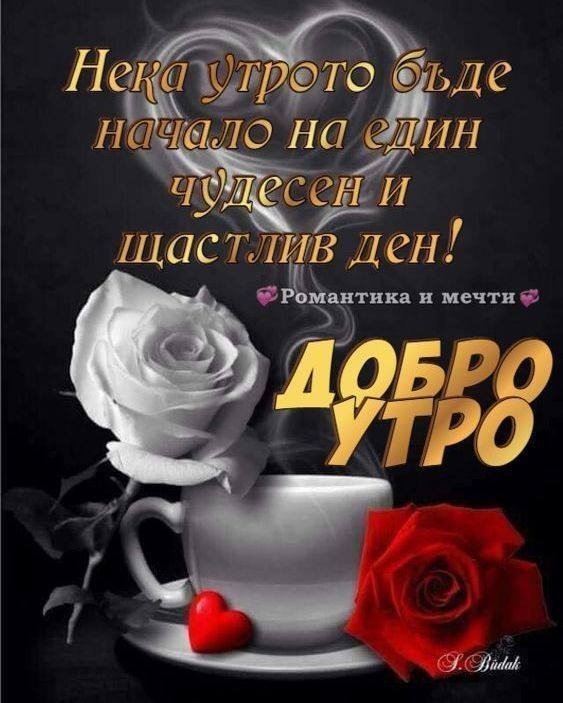 Гордата Аси (Asi)-Магията, която ни завладя, остава в нашите сърца-Тема ...